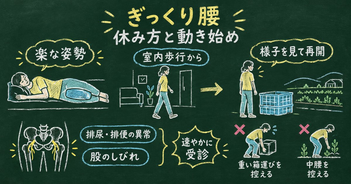 ぎっくり腰で農作業を休むべき？避けたい対処と動き始めの目安